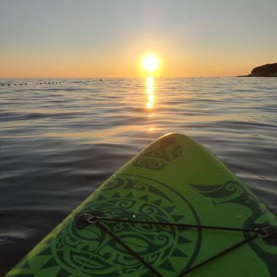 Img 20220904 191706 1