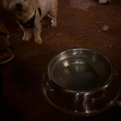 Whatsapp Bild 2024 08 25 Um 16.17.09 0faf607e