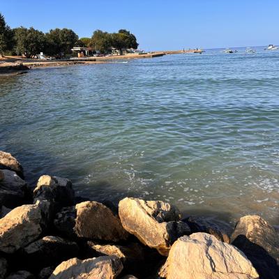 Whatsapp Bild 2024 08 25 Um 16.17.12 7c4f4adb