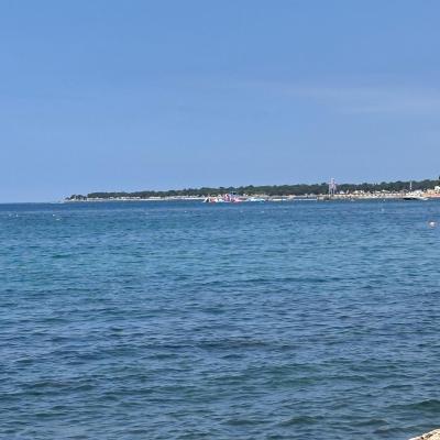 Whatsapp Bild 2024 08 25 Um 16.18.45 21d8b9e1