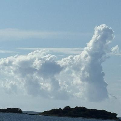 Whatsapp Bild 2025 09 11 Um 23.42.14 0abbed1b