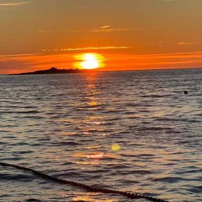 Whatsapp Bild 2025 09 11 Um 23.42.20 3d05ad59