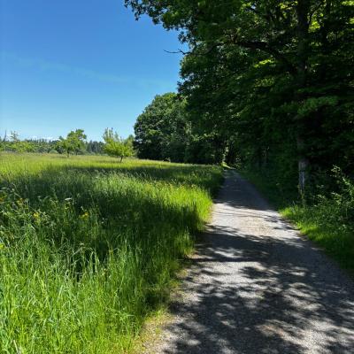 Whatsapp Bild 2025 06 03 Um 21.31.21 F9d84ea4