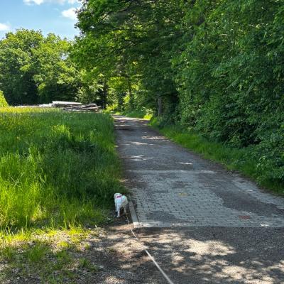 Whatsapp Bild 2025 06 03 Um 21.31.22 77c56c71