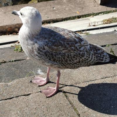 Img 20210907 225652 639 1