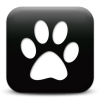 Captcha image 9946